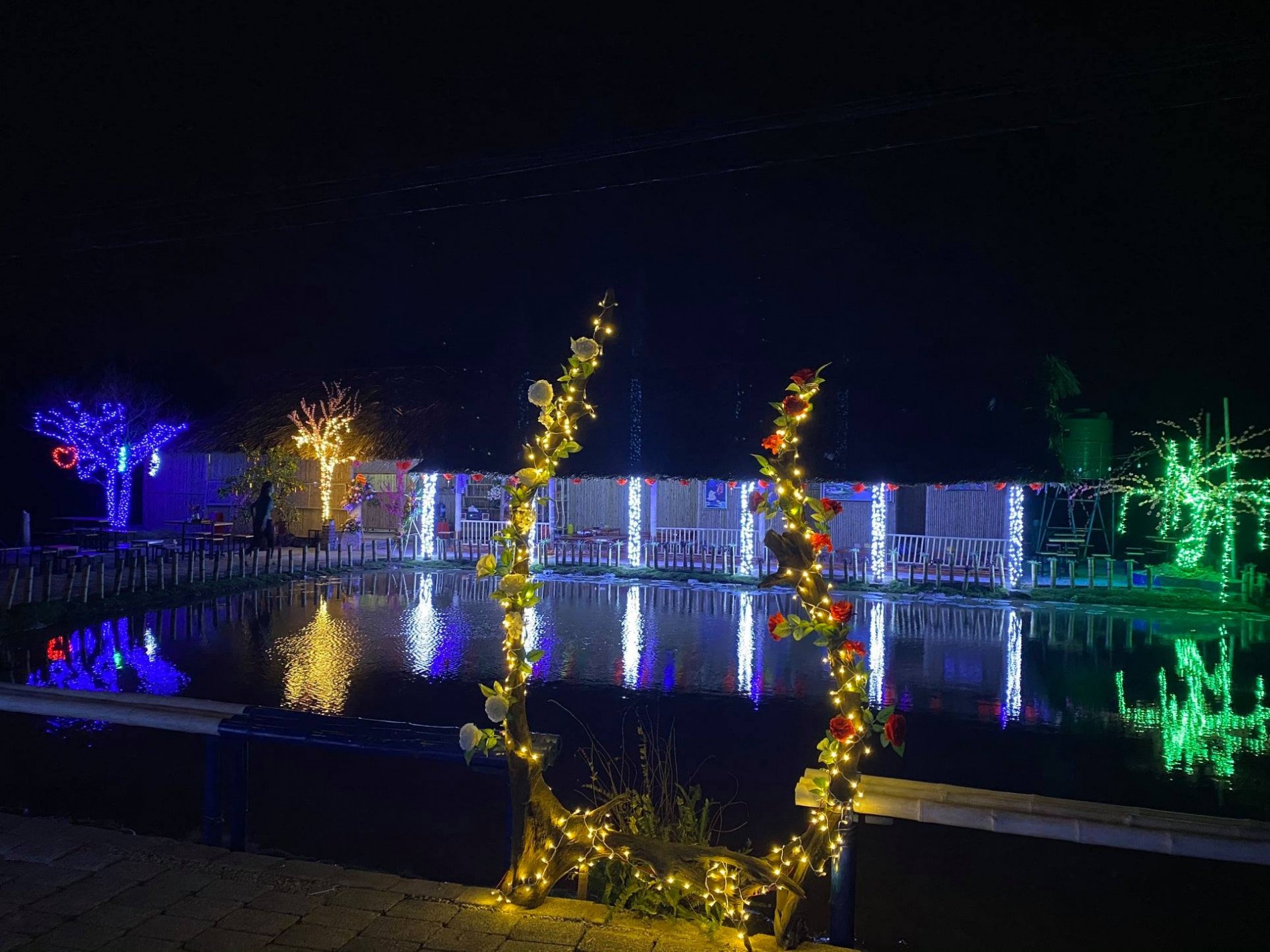 vuon-sen-10-000-chau-o-thai-binh-5