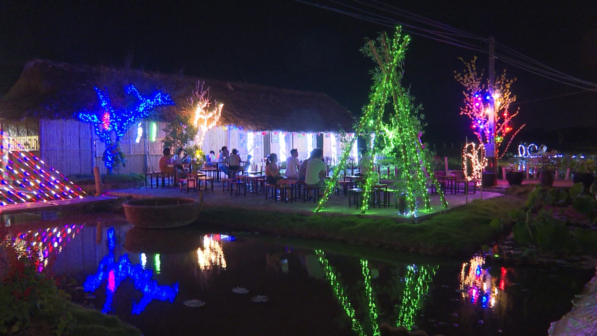 vuon-sen-10-000-chau-o-thai-binh-6